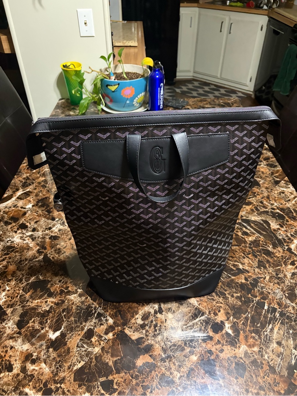 Goyard Black Leather Backpack Tote